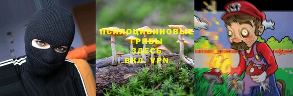 стафф Алексин