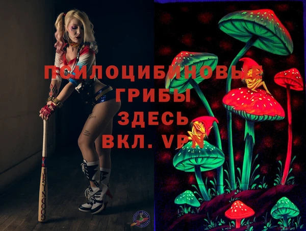 бошки Протвино