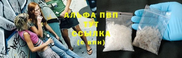 стафф Алексин