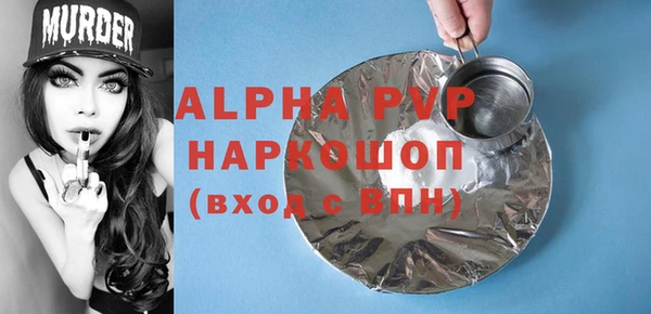 стафф Алексин