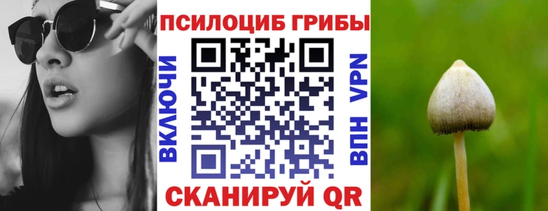 купить наркотики сайты  Клинцы  Галлюциногенные грибы Cubensis 