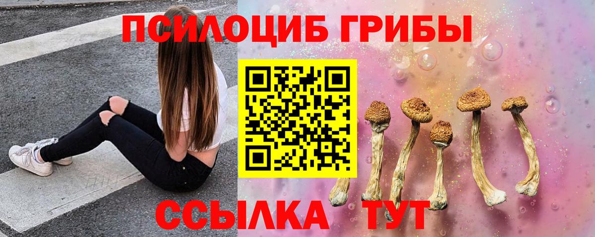 Галлюциногенные грибы MAGIC MUSHROOMS  Галлюциногенные грибы GOLDEN TEACHER  Вход с VPN  Клинцы 